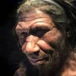 Neanderthals