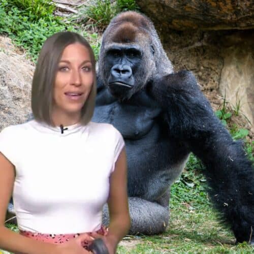 Atlanta Weather Girl