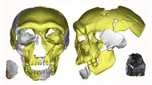 Multiregional Origins confirmation by Discover Magazine - Chinese skull discovery 6 » Human Evolution News Multiregionial Origins