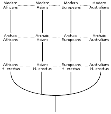 Multiregional origins