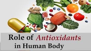 Antioxidants » James Watson's 2013 Research linking Antioxidants to Cancer plagiarized? » Human Evolution News » 1