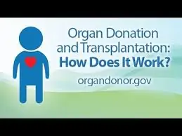 OrganDonors » Mixed Race in Organ Donation, Whites over-represented: Non-Whites less willing » Human Evolution News » 1
