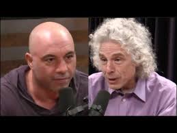 StephenPinkerRogan » Steven Pinker targeted by Cancel Culture for race realism views » Human Evolution News » 4
