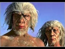 Homoerectus2 &raquo; Homo erectus DNA at 1% "nested" in Denisovan genome shocks Computational Biologists &raquo; Human Evolution News &raquo; 1