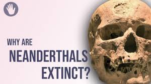 Climate Change didn't doom the Neanderthals: Left-Globalists get ...