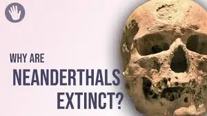NeanderthalsStefanMilo » Climate Change didn't doom the Neanderthals: Left-Globalists get another one wrong » Human Evolution News » 2