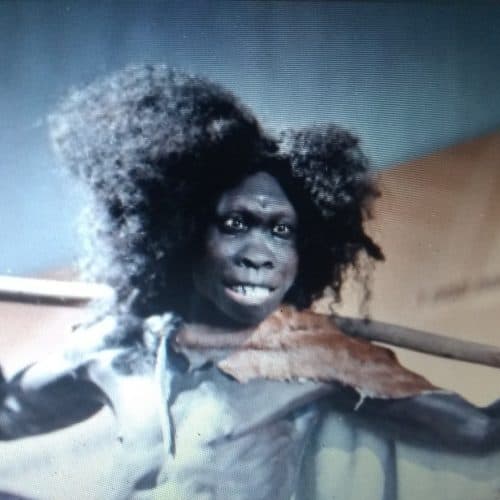 MuseumExhibits &raquo; Museums in Europe removing popular exhibits: SJW's say Yes, because they're "racist" &raquo; Human Evolution News &raquo; 2