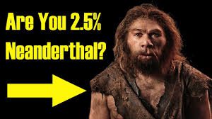 Neanderthal DNA is high in Europeans