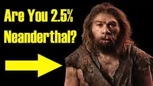 NeanderthalDNAYouTube » COVID racial variance: Major media admit due to 1 to 5% Neanderthal DNA » Human Evolution News » 2