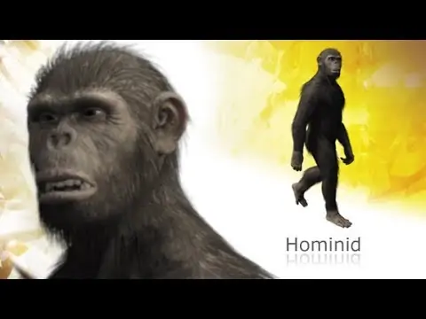 AustralopithecusAfarensis » Race mixing play re-opens in London Oct 1: Australopithecus afarensis sex with Homo sapiens? » Human Evolution News » 1