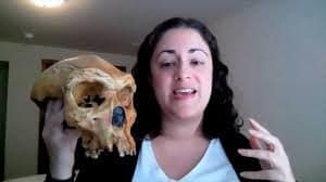 LindsaySpeciesShorts &raquo; Heidelbergensis: Archaeologist from Wyoming says that's where Modern Races come from &raquo; Human Evolution News &raquo; 1