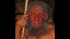Neanderthal variant