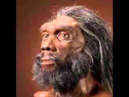 Chris Stringer stunning assertion - Heidelbergensis could be Ghost DNA for Sub-Saharan Africans 2 » Human Evolution News Heidelbergensis