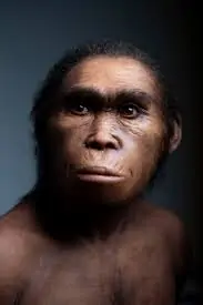 HomoNalediFemale » Archaic ghost species DNA, at least 2% in Africans says Paleo-anthropologist John Hawks » Human Evolution News » 2