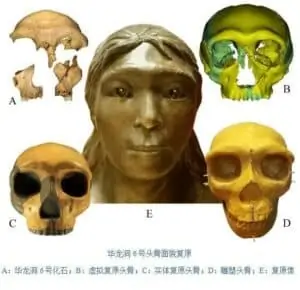 化石測年證實了中國第一批現代人類 