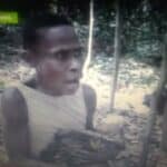 Pygmies