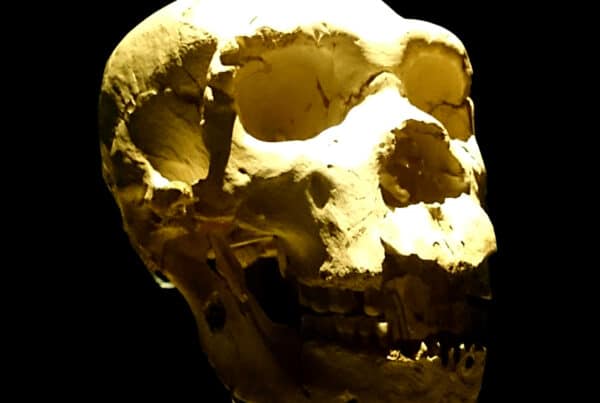 SimadelosHuesos » Neanderthals far more violent than previously believed, new forensics study of Sima de los Huesos » Human Evolution News » 1
