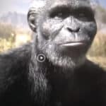 Australopithecus africanus