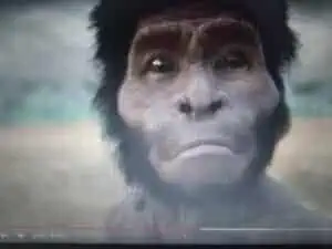HomonalediYouTube 300x225 1 » Homo naledi paper to be published, stunning reversal: Lee Berger threatened Science Magazine to go public » Human Evolution News » 2