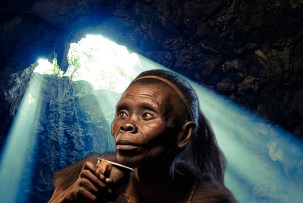 Homo naledi paper