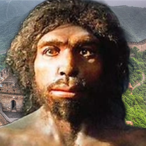 Homo sapiens