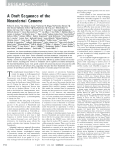 Neanderthal DNA Neanderthal DNA