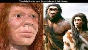 Denny » The Denisovan Story: An overview of the latest news on the 2nd cousin species to Homo sapiens » Human Evolution News » 1