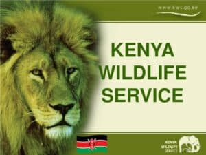 Kenya Wildlife