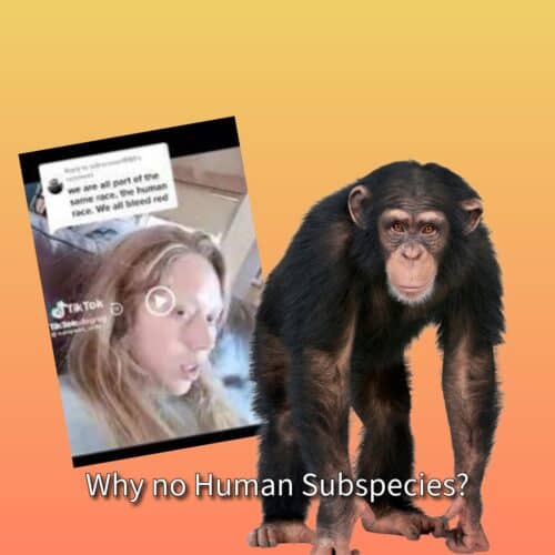 Subspecies