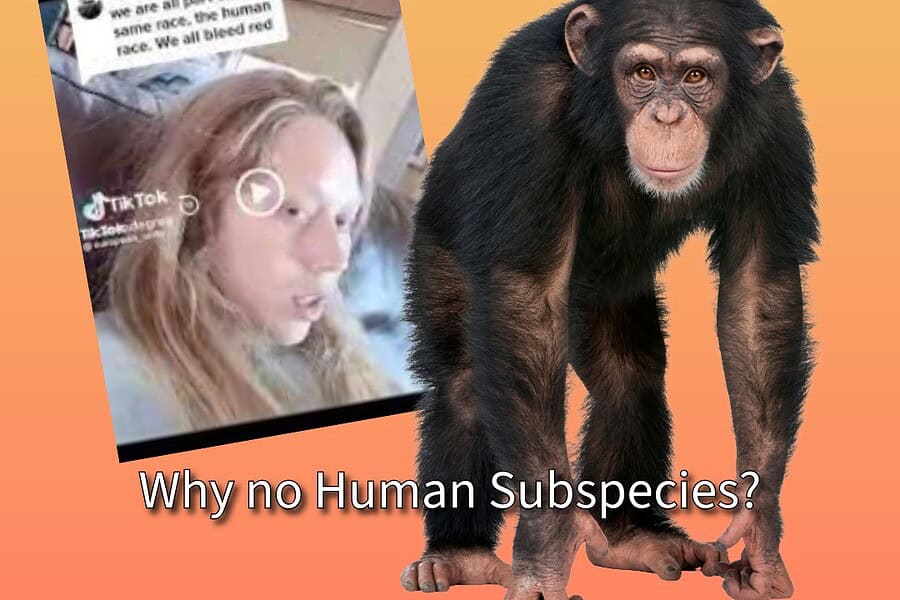 Aux Frontières de l’Humanité Moderne : Ce que la Génétique Révèle (et que le Modèle Officiel Ignore) 5 » Human Evolution News Subspecies